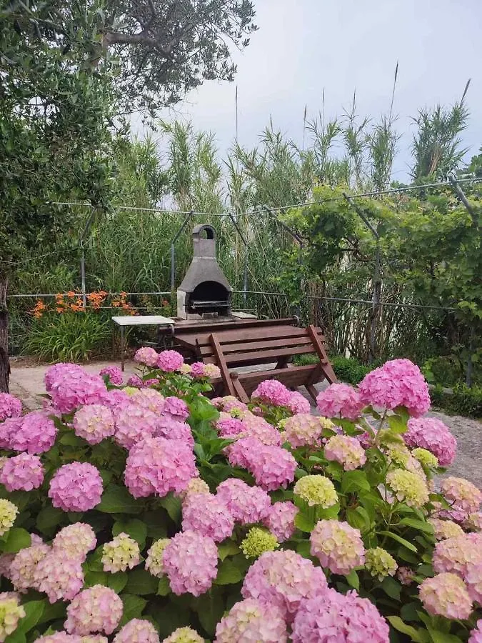 Apartment Ankica Valeria Lopar Croatia